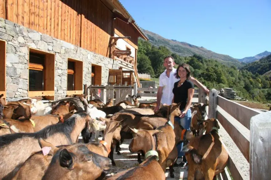 A 1 600 mètres d’altitude, Marie et Cyril Bricard vendent leurs fromages aux touristes, mais ils cherchent
maintenant à regagner du temps pour profit