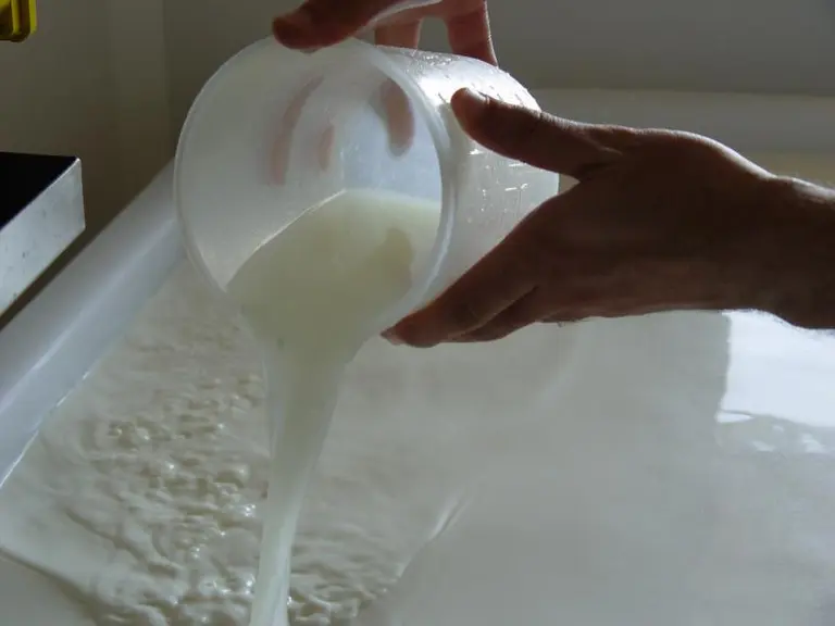 La note d’information rappelle l’innocuité de l’ensemencement du lait en utilisant des ferments sauvages, constitués des flores indigènes de l’exploit