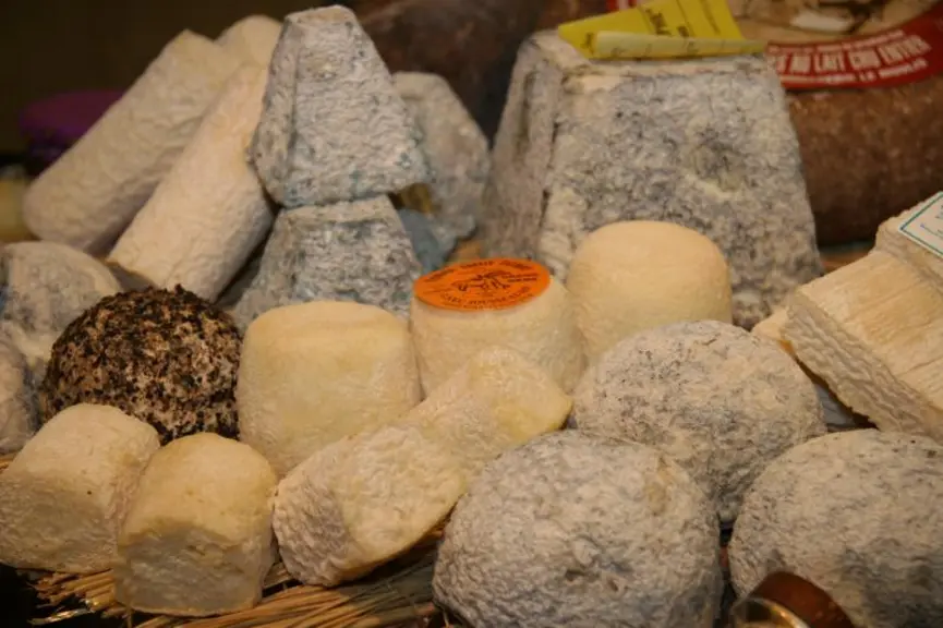 fermiers qui ne standardisent pas le lait en matière grasse pourront apposer la mention : « matière grasse : au lait entier » en remplacement ou en co