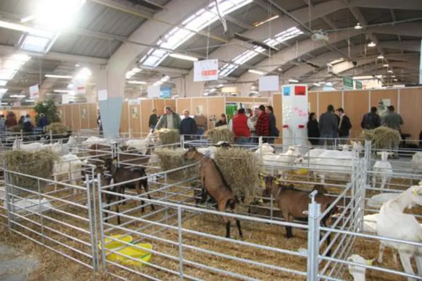 Le parc des expositions de Niort a accueilli plus de 2 200 visiteurs au cours des deux jours du salon.