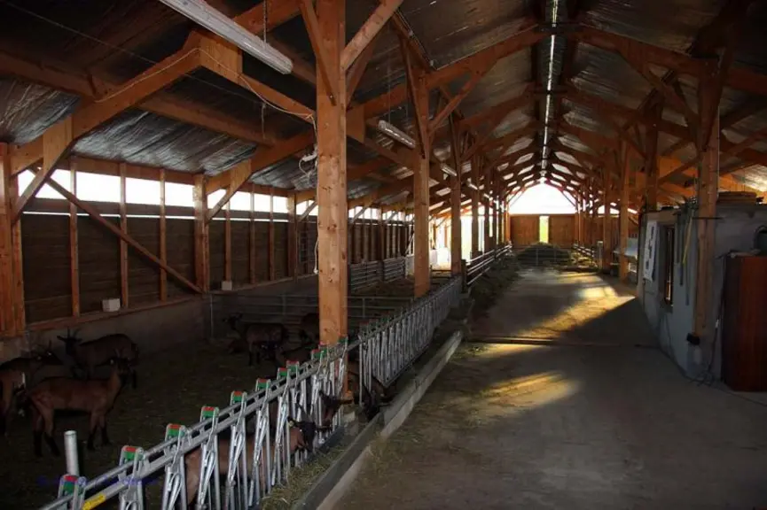 On fabrique aussi du Comté dans l'Ain...