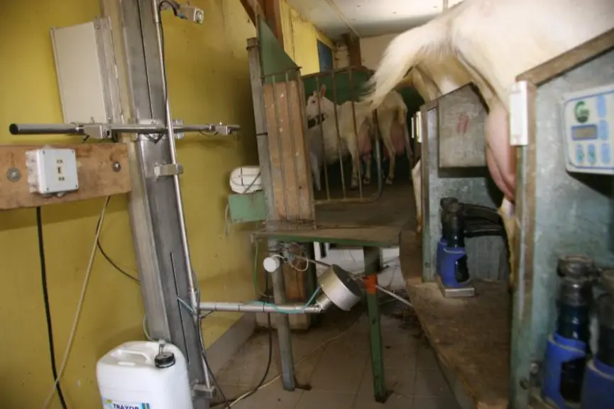 Comme un pistolet à peinture, le DTMR Spray envoie sur les mamelle un nuage de microgouttelettes de désinfectant.