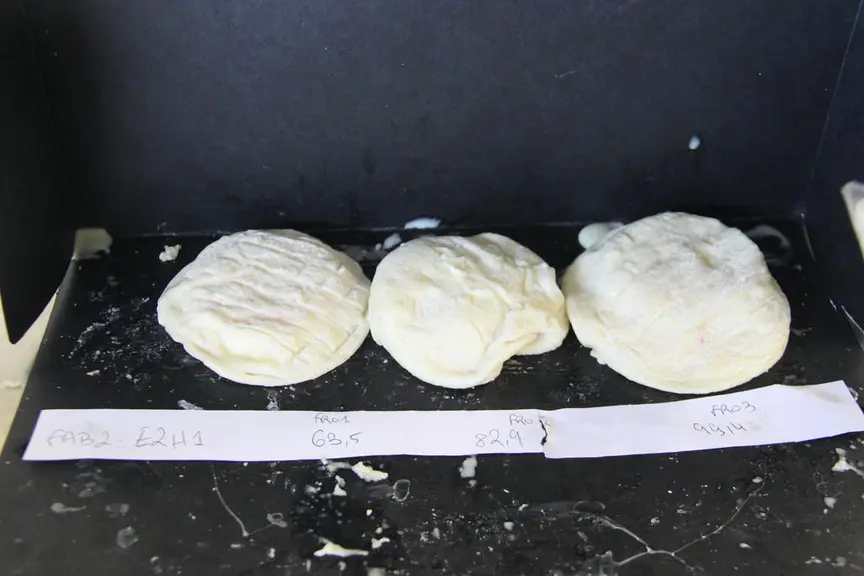 Séchage 24 h à vitesse 10 et affinage à 95 % d'humidité © A. Dorléac/Pradel
