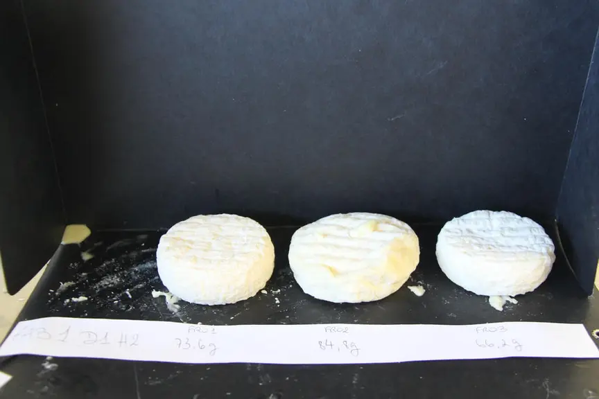 Séchage 48 h à vitesse 10 et affinage à 88 % d'humidité © A. Dorléac/Pradel