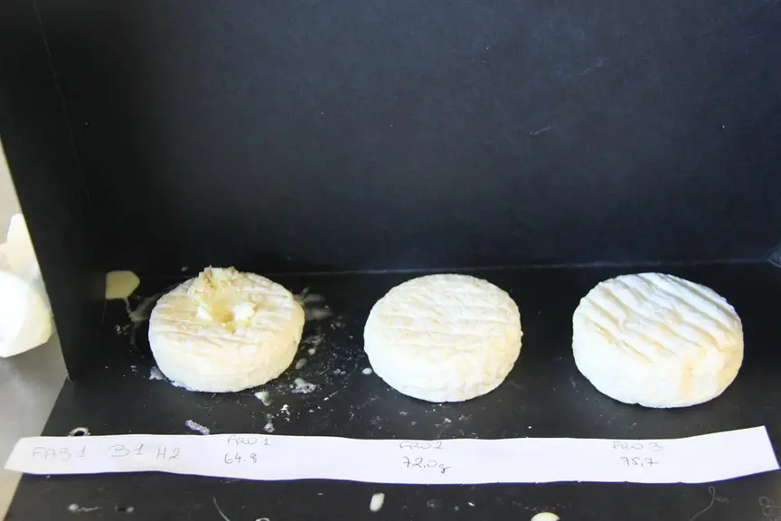 Séchage 48 h à vitesse 4 et affinage à 88 % d'humidité © A. Dorléac/Pradel