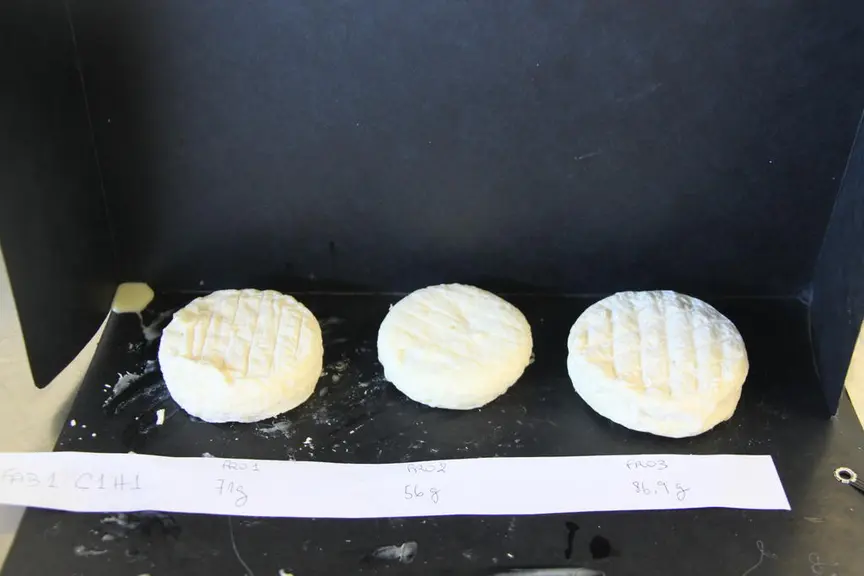 Séchage 48 h à vitesse 10 et affinage à 95 % d'humidité © A. Dorléac/Pradel