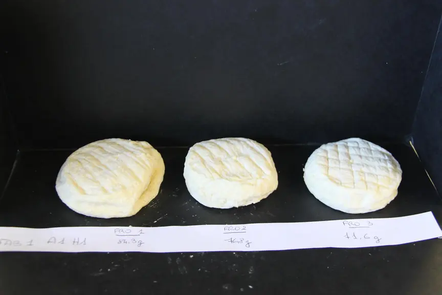 Séchage 48 h à vitesse 4 et affinage à 95 % d'humidité © A. Dorléac/Pradel