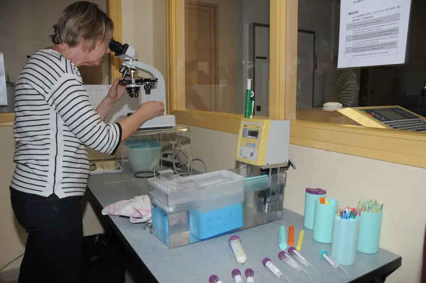 Les laborantins du centre ont montré aux visiteurs les contrôles réalisés pour vérifier la mobilité et la motilité des spermatozoïdes des paillettes.