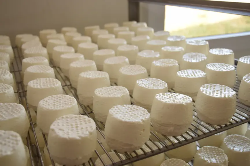 Fabriqués à la ferme de Macon-Davayé, chacun de ces fromages a demandé 3,69 litres d’eau et 0,25 kwh d’électricité, pour un peu moins de 4,5 centimes