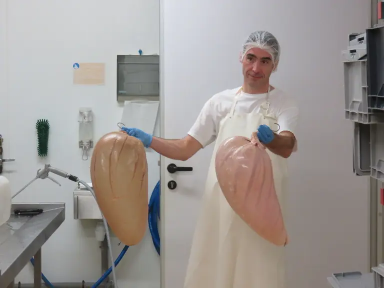 La présure est fabriquée à partir de la caillette des ruminants.  © DR
