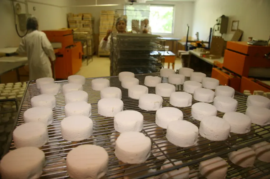 Les Français sont attachés au mode de production du lait de chèvre sans toutefois véritablement le connaître.  © D. Hardy