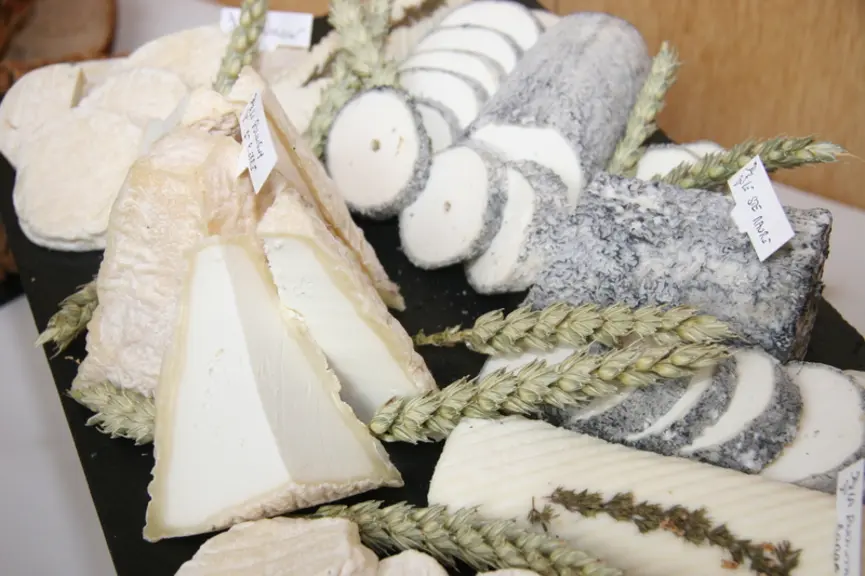 L'élevage caprin fournit des aliments riches en protéines et en calcium, porteur de la gastronomie française. © D. Hardy
