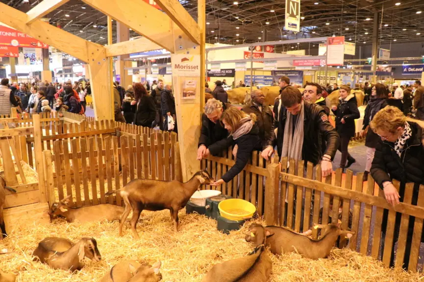 Le Salon de l’agriculture, un moment idéal pour montrer les atouts de la ferme France, du bien-être des animaux jusqu’à la fabrication d’un produit de