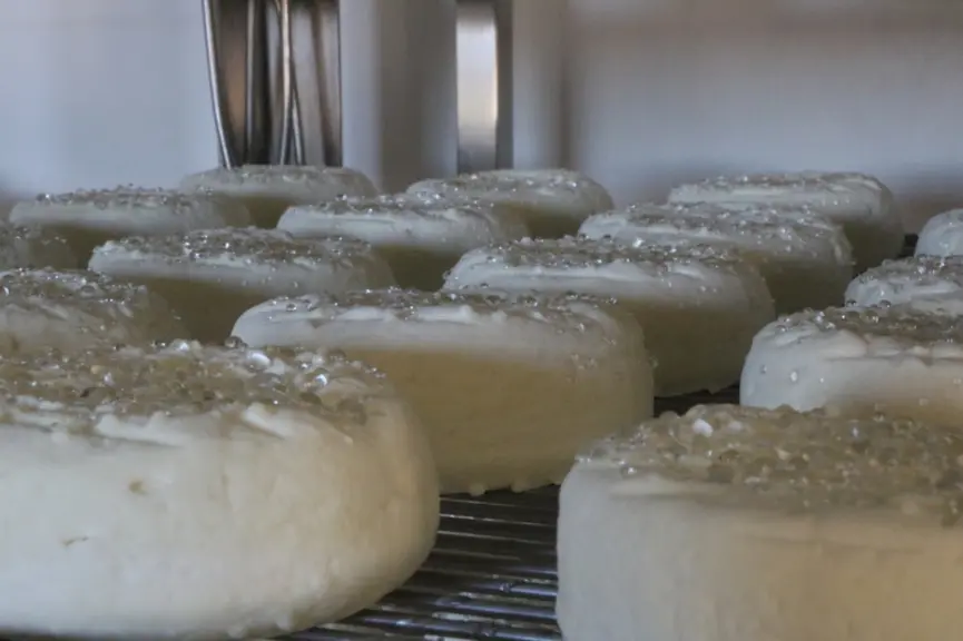 Le salage permet de finaliser l'égouttage des fromages, lors de la phase de ressuyage. © B. Morel