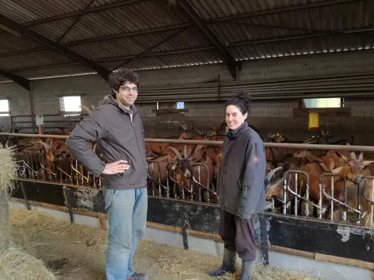 Antoine Bernard et Claire Mimault apprécient la richesse du chou et de la betterave même si la culture et la distribution demandent beaucoup d'interve