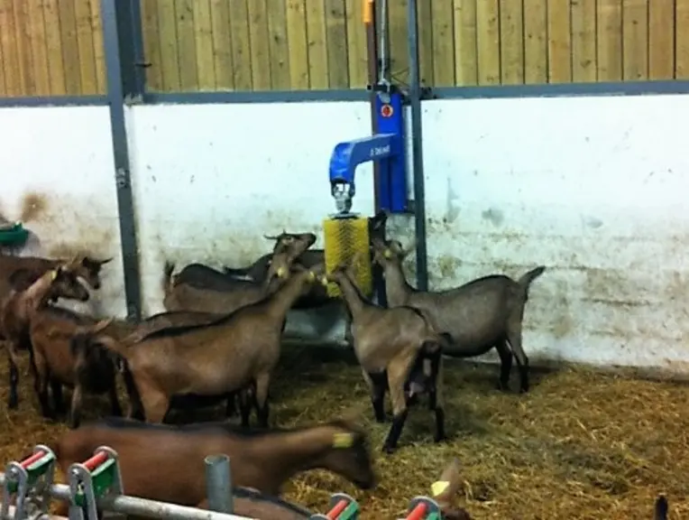Les brosses amènent du confort et de la distraction pour les chèvres. © G. Mazenq