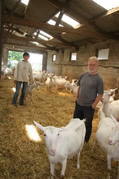 Serge Letendre, éleveur bio en Ille-et-Vilaine © D. Hardy