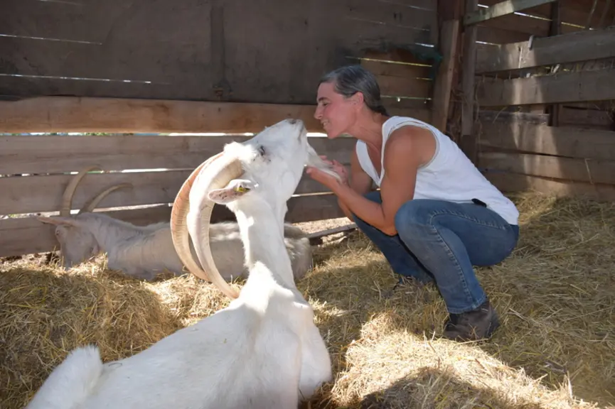 En convalescence après une attaque parasitaire, le bouc Griot reçoit toute l’affection d’Alexandra Dupont. © D. Hardy