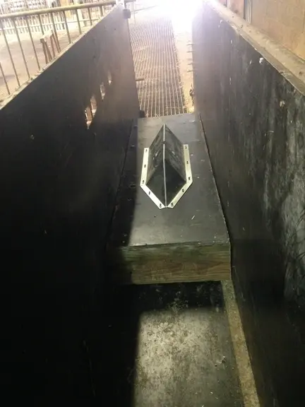 En passant dans le couloir, les chèvres écartent leurs pattes et les mamelles reçoivent automatiquement une pulvérisation de désinfection. © M. Bienne