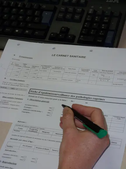 Noter les informations permet de s’en souvenir pour le partager avec le vétérinaire. © GDS PC
