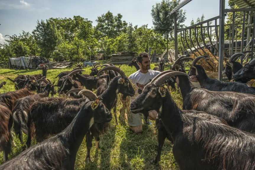 La pépinière permet d’acquérir rapidement des animaux de bonne qualité génétique et sanitaire.  © Ferme Vieux Chêne