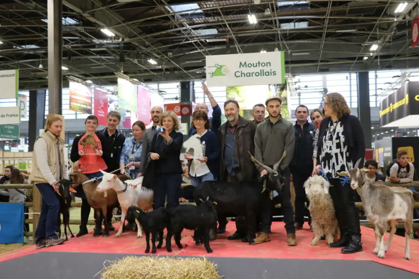 Capgènes a fait défiler les principales races caprines. Les lauréats du prix d'excellence génétique étaient également présents. © B. Morel