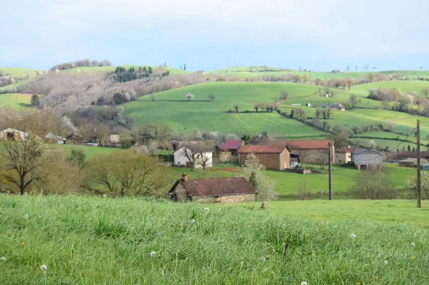 Au pays des vaches et des verts pâturages, les chèvres ont trouvé leur place dans ce Cantal à 100 % en zone de montagne et dont l’herbe occupe 95 % de
