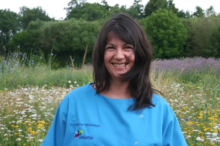 Solenne Vrignaud, vétérinaire attitrée de la pépinière de poitevines © VetPôle