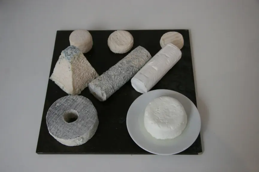 Le chèvre tient son goût si particulier des acides caproïques, capriques et capryliques, mais surtout de l’acide gras 4-ethyloctanoïque. © D. Hardy