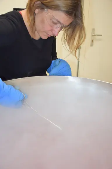 Alice Fatet, Inra : « Chacune des étapes de préparation de la semence est actuellement ou a été l’objet d’essais pour optimiser ou simplifier le proce