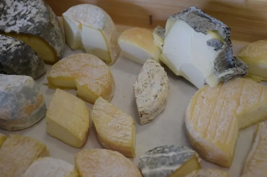 Authentiques et goûteux, les fromages de chèvres présentés à Fromagora traduisaient la diversité de la production fermière française.   © D. Hardy