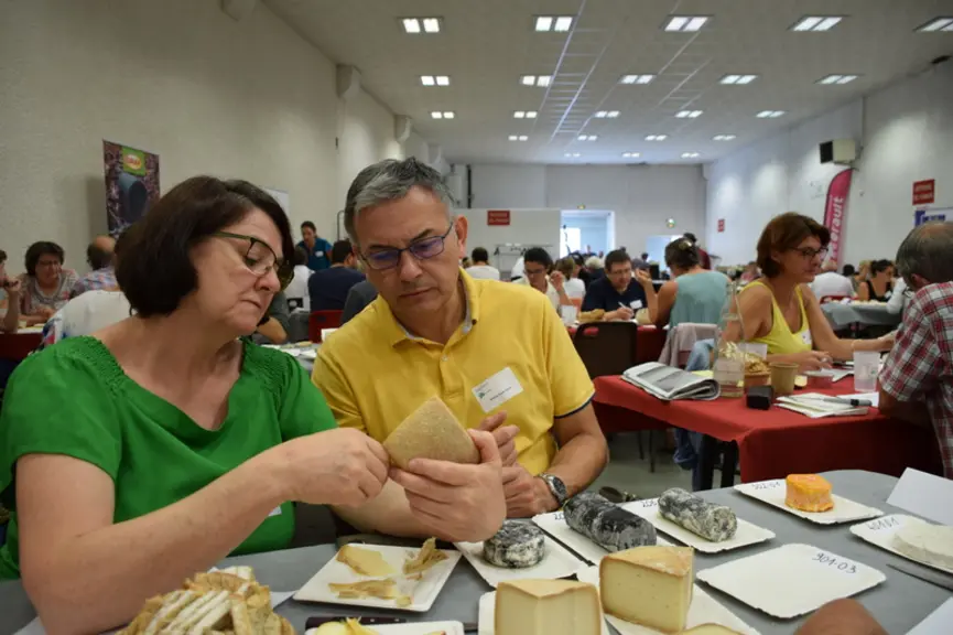 Chaque échantillon de fromage a été évalué avec application et sérieux.  © D. Hardy