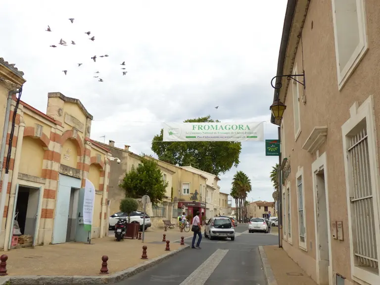 A côté de Montpellier, la ville de Baillargues s'est  investi pour l’accueil de Fromagora.  © R. Alliey