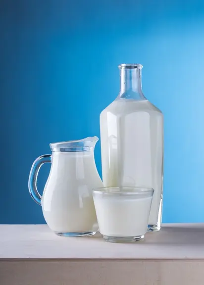 Très digeste, le lait de chèvre est une source importante de protéines d’excellente qualité. Il contienttous les acides aminés essentiels à l’organism