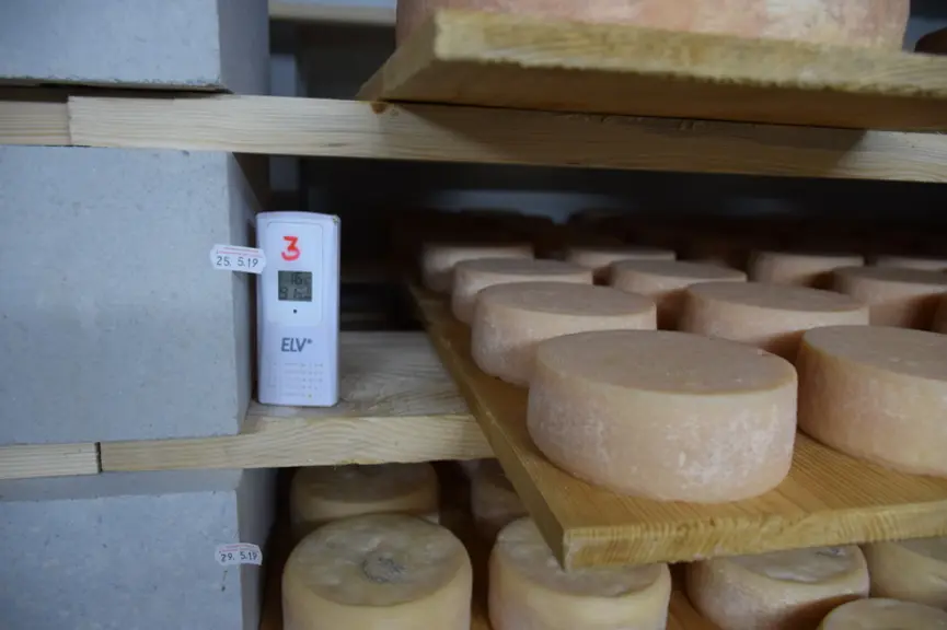 Les étiquettes avec la date assurent la traçabilité des fromages. © D. Hardy