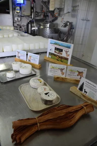 La fromagerie fabrique des tommes fraîches, des fromages affinés à pâte molle, des lactiques frais et affinés et la « Biquette et l’épicéa », un froma
