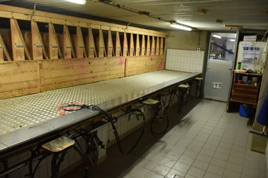 Même âgée de 40 ans, leur machine à traire Fullwood de 24 places à l’auge permet de traire le troupeau en un peu plus d’une heure. © D. Hardy