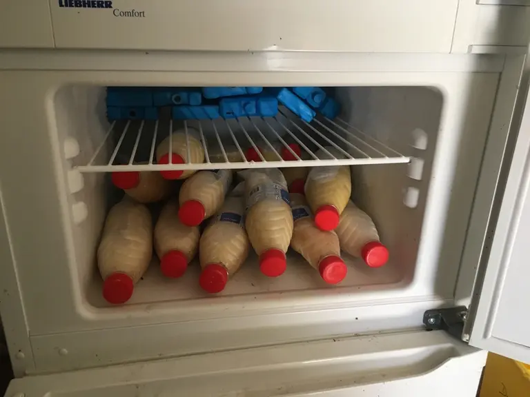 Colostrum congelé © O. Danel