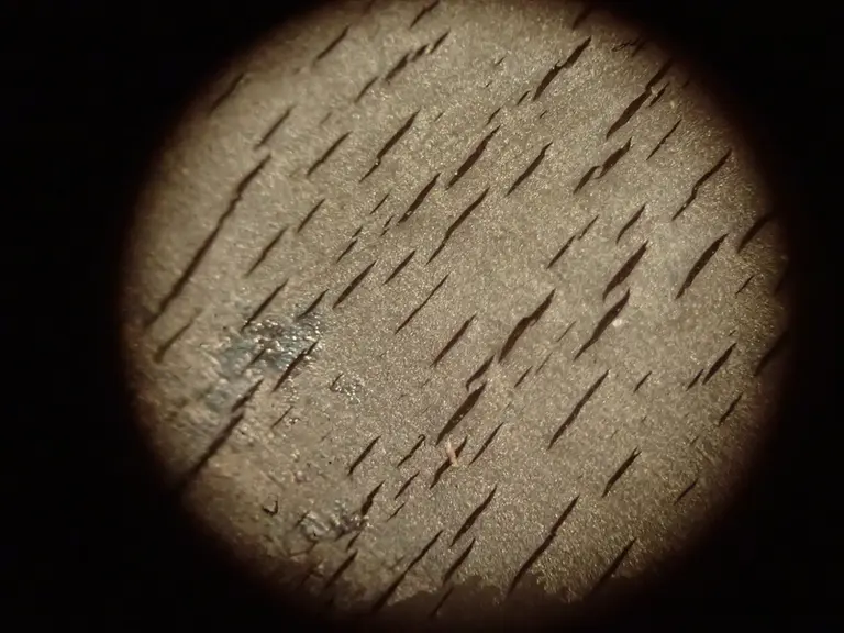 Des fissures et craquelures du caoutchouc sont visibles à la loupe binoculaire au-delà de 3 750 traites (grossissement x35). © Idele