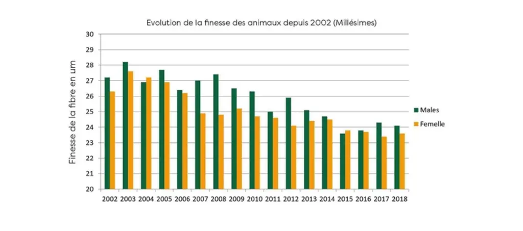 Évolution de la finesse des animaux depuis 2002  © Capgenes