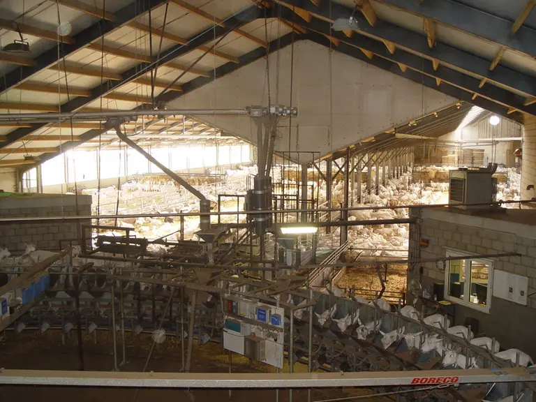 Aux Pays-Bas, le coût de production est moins élevé grâce à une plus forte productivité du travail. © D. Hardy