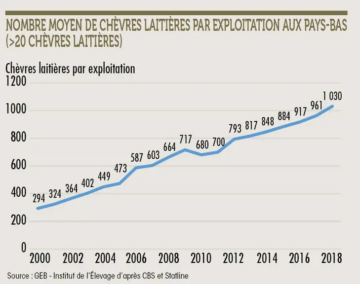 Nombre moyen de chèvres laitières par exploitation aux Pays-Bas (>20 chèvres laitières) © GEB - Institut de ...