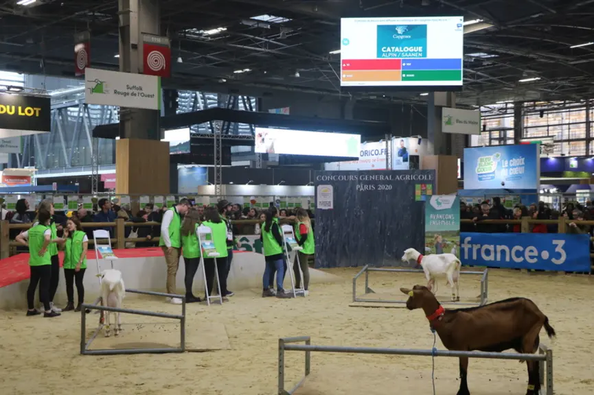 Le challenge caprin inter-lycées est un moment de partage de connaissances ludique entre experts de la filière, jeunes en formation et grand public. ©