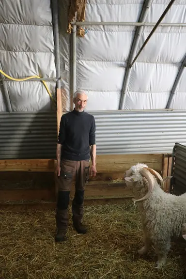 Pascal GOUACHE a démarré son activité avec des chèvres laitières en absorption pour finalement se consacrer entièrement à la chèvre angora. "J'ai touj
