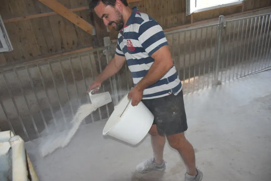 Avant d’utiliser des copeaux, les éleveurs utilisaient une poudre asséchante à base de kaolin. © D. Hardy