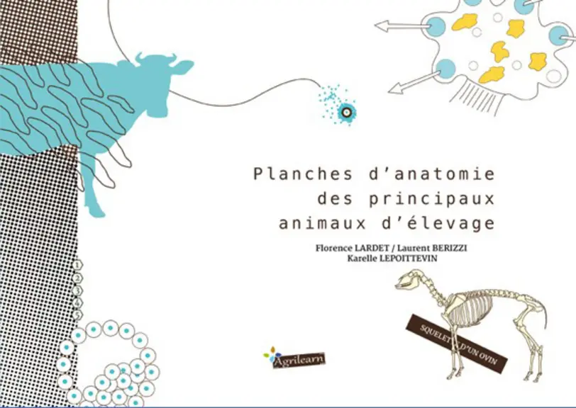 Planches d'anatomie des principaux animaux d'élevage © Agrilearn
