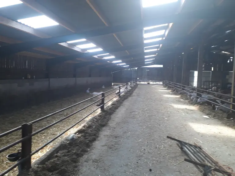 Trop de translucides mal positionnés engendrent un rayonnement solaire important l’été. © La ventilation des bâtiments ...