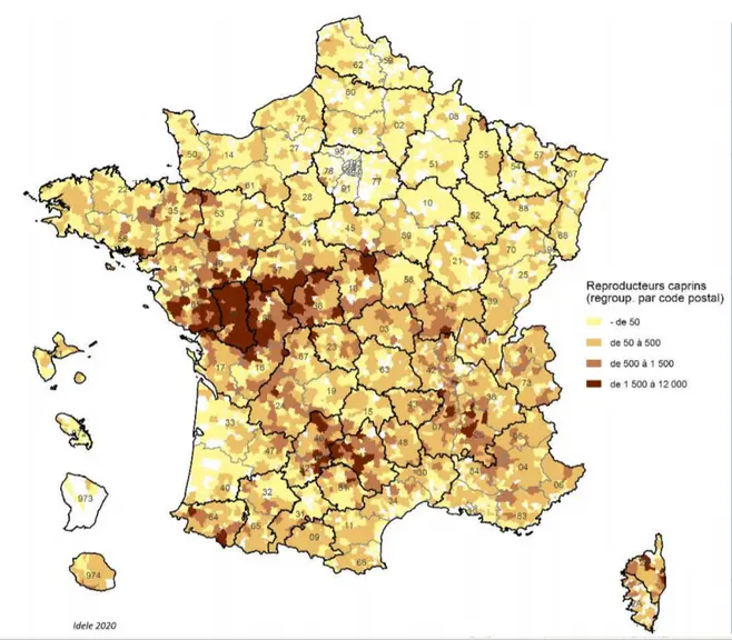 Élevages caprins (ayant déclaré un recensement) © BDNI 2020/Idele