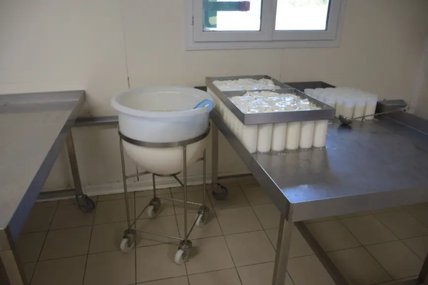 Les bûches sont moulées à l’aide d’un répartiteur et d’une pelle à fromage. © D. Hardy