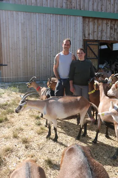 Isabelle Genevier et Richard Bransol ont eu un coup de coeur pour les chèvres Cou clair du Berry et ont intégré plusieurs spécimens dans leur troupeau
